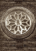 Wall_Art_Alphabet_Photography_Art_ 1619